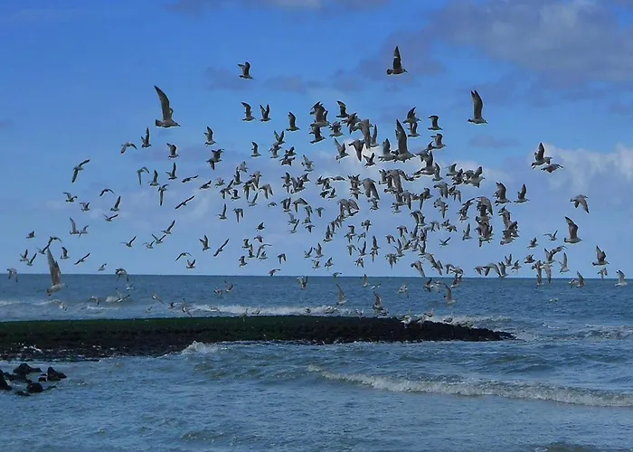 Feriehus For 6 People Near Sint Maartensvlotbrug