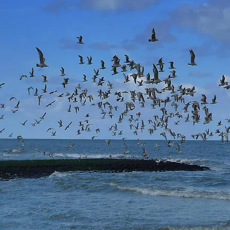 Сasa de vacaciones For 6 People Near Sint Maartensvlotbrug